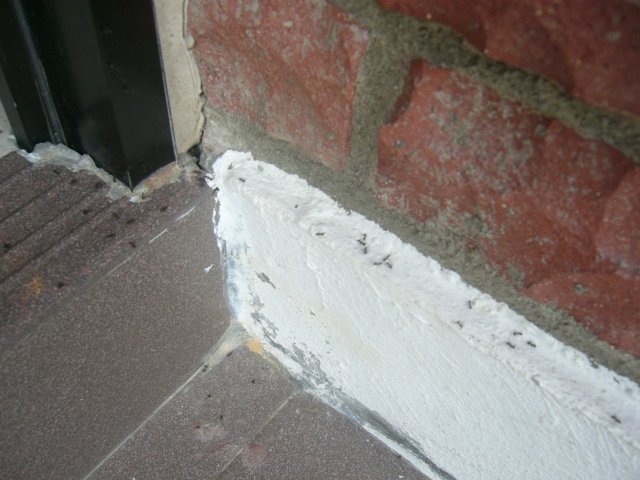 Black Ants at De Palma Sepang: At the door